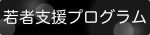 若者支援プログラム