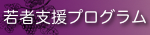 若者支援プログラム