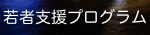 若者支援プログラム