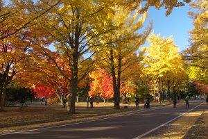 hokkaido_university.jpg